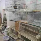 مجموعة اقفاص للبيع كنيورات كاسكو