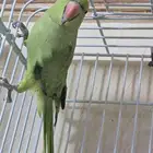 بسم الله الرحمن الرحيم نبداء بذكر