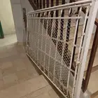 سله حق باص هايس تويوتا
