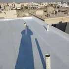 مضلات