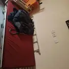 لوج الله