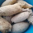 عسل نحل حر بري جبلي ممتاز درجه اولى قطف اليوم سعر الكيلو 150