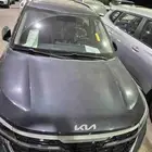 سيلتوس نص فل 1.5 2024