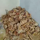 7. اكيس خبز ناشف ونضيف عل الشرط