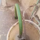 تسليك مجاري وشفط مجاري بالرياض