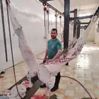 جزار مصري يبحث عن شغل ومعلم ومعلم م يحتاج من خبره كافيه