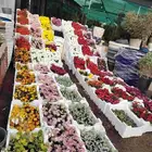 تنسيق حدائق زراعه