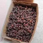 متوفر كرتون تمر ارزيز