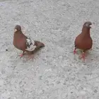 حمام سوري للبيع