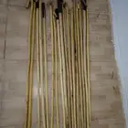 مشاعيب وعصي نشم