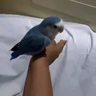 السلام عليكم ورحمة الله وبركاته