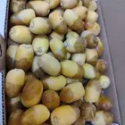 رطب اخلاص جامبوا ممتاز