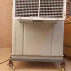 مكيف صحراوي نص حصان