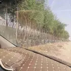 لشغل سدر ونخل عربي واشنطني شبك