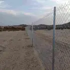 مقاول شبوك وتوريد نخيل