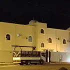 A halal goat is returning from Hafr AlBatin to the west