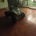 دباب فراشة أو سويدي