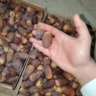 مجدول 3 كيلو
