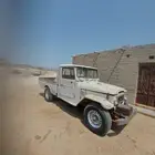 شاص بدون أوراق