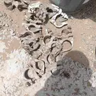 كلبسات مستعمل للبيع