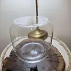 فازة تيراريوم زجاج