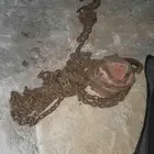 مكرة ونش يابانيه 3طن