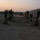 متوفر لدينا بأنواعه واشكاله في اي مكان وزمان عليك الاتصال وع