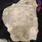 عنبر حوت خام طبيعي