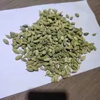 هيل أمريكي فاخر