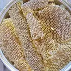 عسل السدر الجنوبي الفاخر