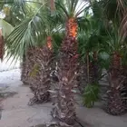 بسم الله الرحمن الرحيم يارب العالمين