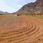للأيجار مزرعه