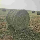 رودس مقاس 130 كبس طييب