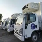 تأجير دينات تبريد و تجميد موديل 2023 و 2024