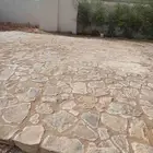 ارضي