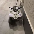 دباب تايوان