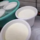 خاثر غنم صافي وطازج
