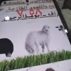مزرعة ومراح حلال الديرة لبيع الذبايح مع خدمة الذبح والتوصيل