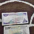 فلوس