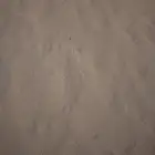 كنكري   بحص طرطشة القطيف