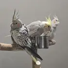 للبيع كروان عدد 3