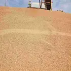 بحص فرشه جلسات احواش استرحات