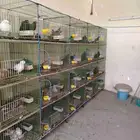 محاكر او خانات حمام صناعه مصريه