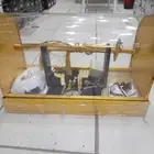 طقم ولادي فريد من نوعه