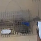 ارنب للبيع المنطقة الشوقية