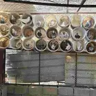 حمام بلدي وقطايف