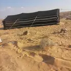 خيمة وبيوت الشعراء جميع بيوت الشعر على الحديد وطناب على البل