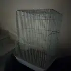 شبك طيور