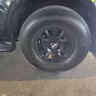 برايد جنوط وشواهين