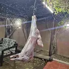 معلم مشاوي شواي شوي